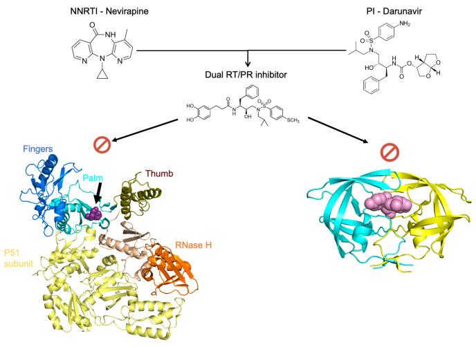 https://cdn.ncbi.nlm.nih.gov/pmc/blobs/5d1d/12390352/68e9b444c57a/viruses-17-01044-g008.jpg