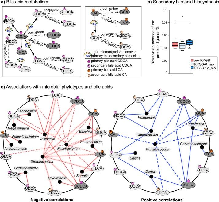 https://cdn.ncbi.nlm.nih.gov/pmc/blobs/5d1d/7070067/14f6131758ae/41522_2020_122_Fig6_HTML.jpg
