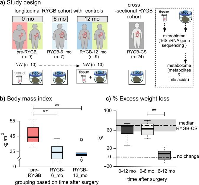 https://cdn.ncbi.nlm.nih.gov/pmc/blobs/5d1d/7070067/1f6d65c49e8a/41522_2020_122_Fig1_HTML.jpg