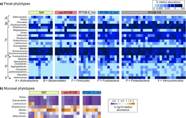 https://cdn.ncbi.nlm.nih.gov/pmc/blobs/5d1d/7070067/e14e7cd0f6bb/41522_2020_122_Fig3_HTML.jpg