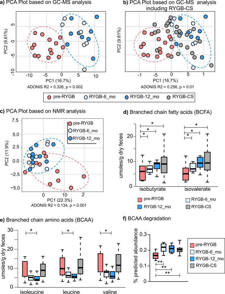 https://cdn.ncbi.nlm.nih.gov/pmc/blobs/5d1d/7070067/e7e919fac63a/41522_2020_122_Fig4_HTML.jpg