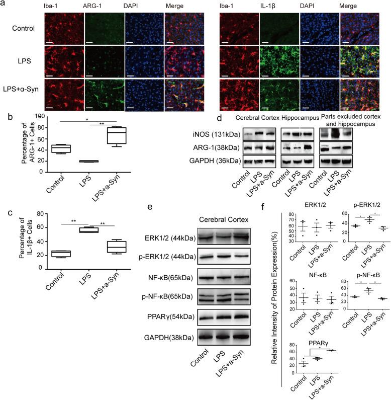 https://cdn.ncbi.nlm.nih.gov/pmc/blobs/5d1d/7500012/2ec5a69a5b21/12974_2020_1940_Fig4_HTML.jpg
