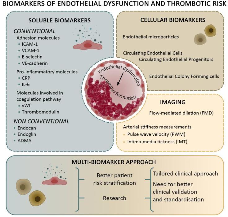 https://cdn.ncbi.nlm.nih.gov/pmc/blobs/5d1e/11763525/10ffb134fe88/cells-14-00144-g001.jpg