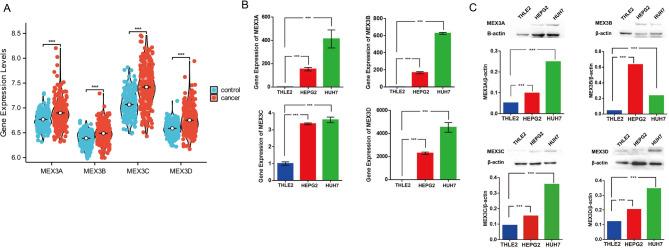 https://cdn.ncbi.nlm.nih.gov/pmc/blobs/5d1e/12081770/5c45b546f4b9/41598_2025_2057_Fig2_HTML.jpg