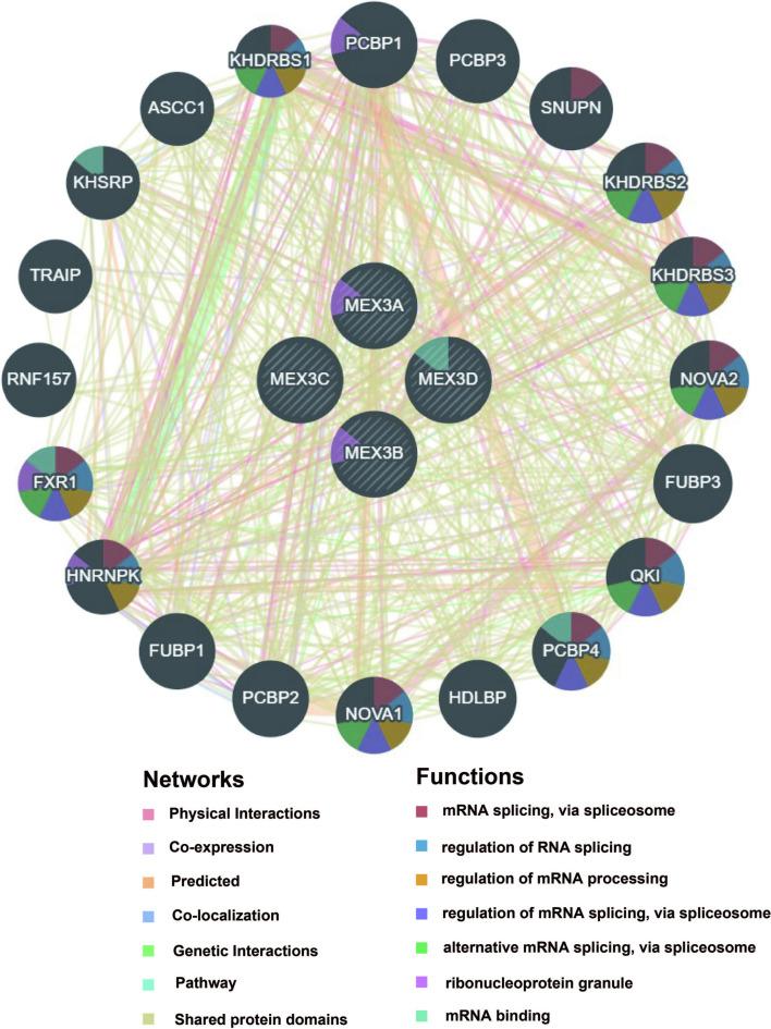 https://cdn.ncbi.nlm.nih.gov/pmc/blobs/5d1e/12081770/703e1f121bfa/41598_2025_2057_Fig4_HTML.jpg