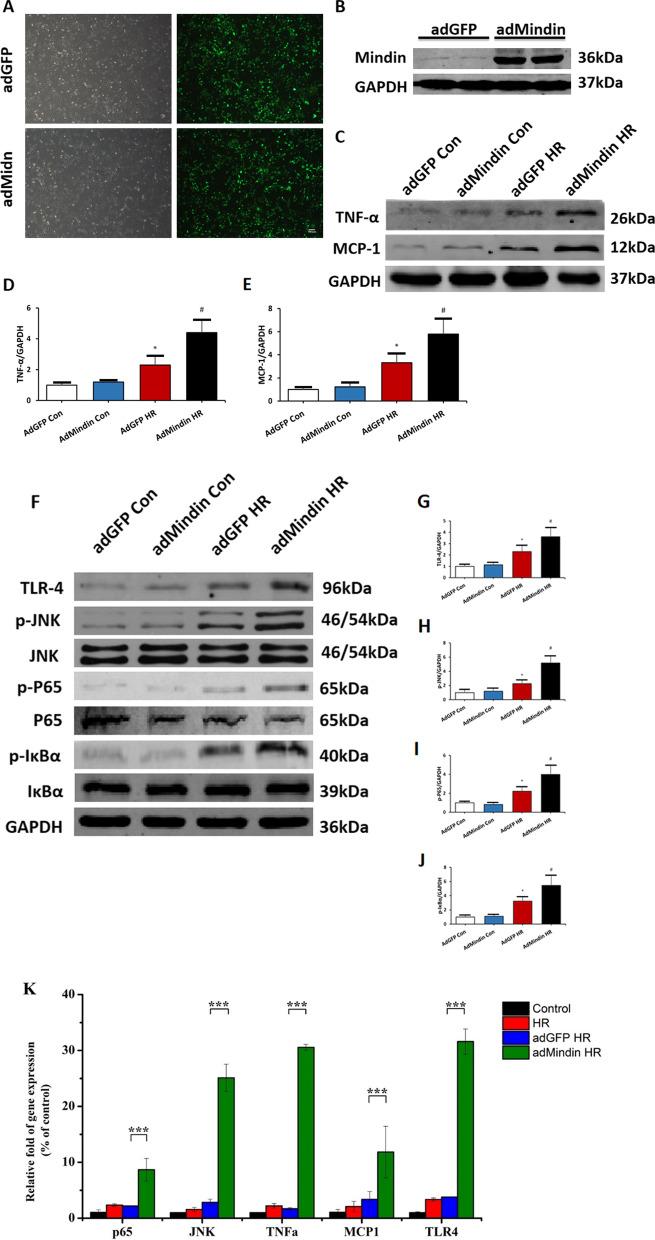 https://cdn.ncbi.nlm.nih.gov/pmc/blobs/5d1e/9743537/2f17655c3b2f/10020_2022_578_Fig5_HTML.jpg