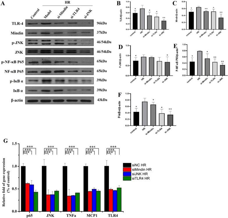 https://cdn.ncbi.nlm.nih.gov/pmc/blobs/5d1e/9743537/df896dca2bdd/10020_2022_578_Fig6_HTML.jpg