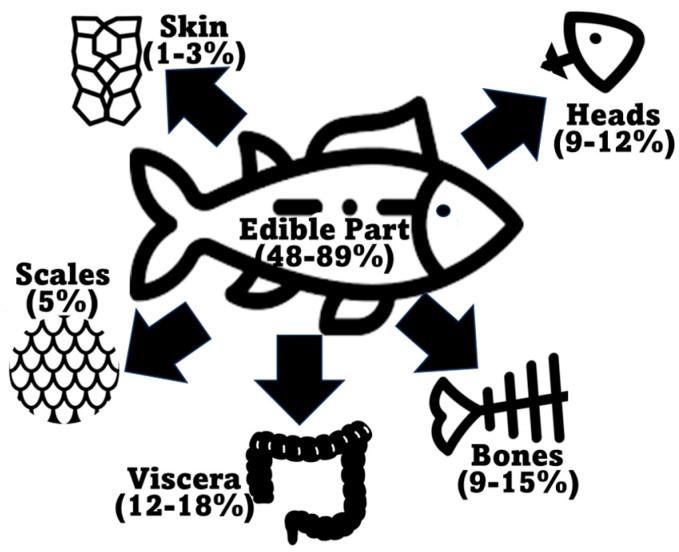 https://cdn.ncbi.nlm.nih.gov/pmc/blobs/5d1f/10890326/77aeb948290b/marinedrugs-22-00073-g003.jpg