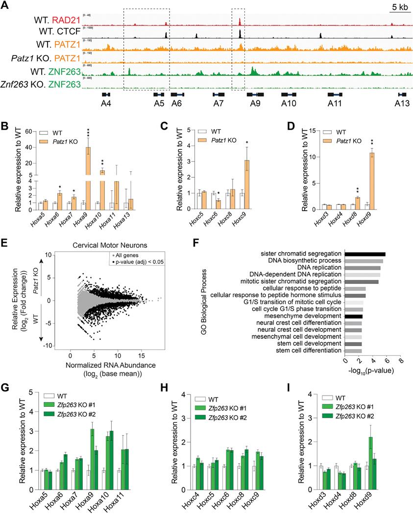 https://cdn.ncbi.nlm.nih.gov/pmc/blobs/5d22/11613955/44f547a53a84/nihms-2020155-f0005.jpg