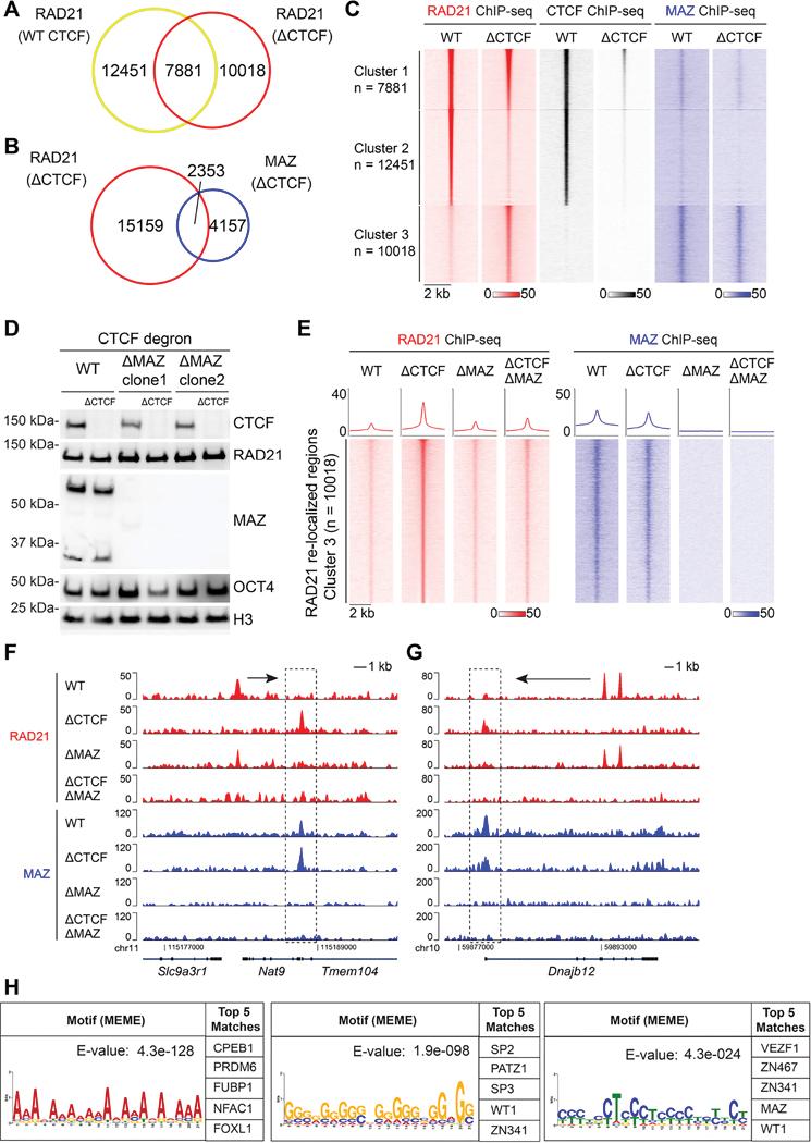 https://cdn.ncbi.nlm.nih.gov/pmc/blobs/5d22/11613955/910df711f8f8/nihms-2020155-f0001.jpg