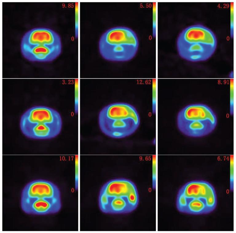 https://cdn.ncbi.nlm.nih.gov/pmc/blobs/5d22/3545224/a26f46827878/srep01070-f3.jpg