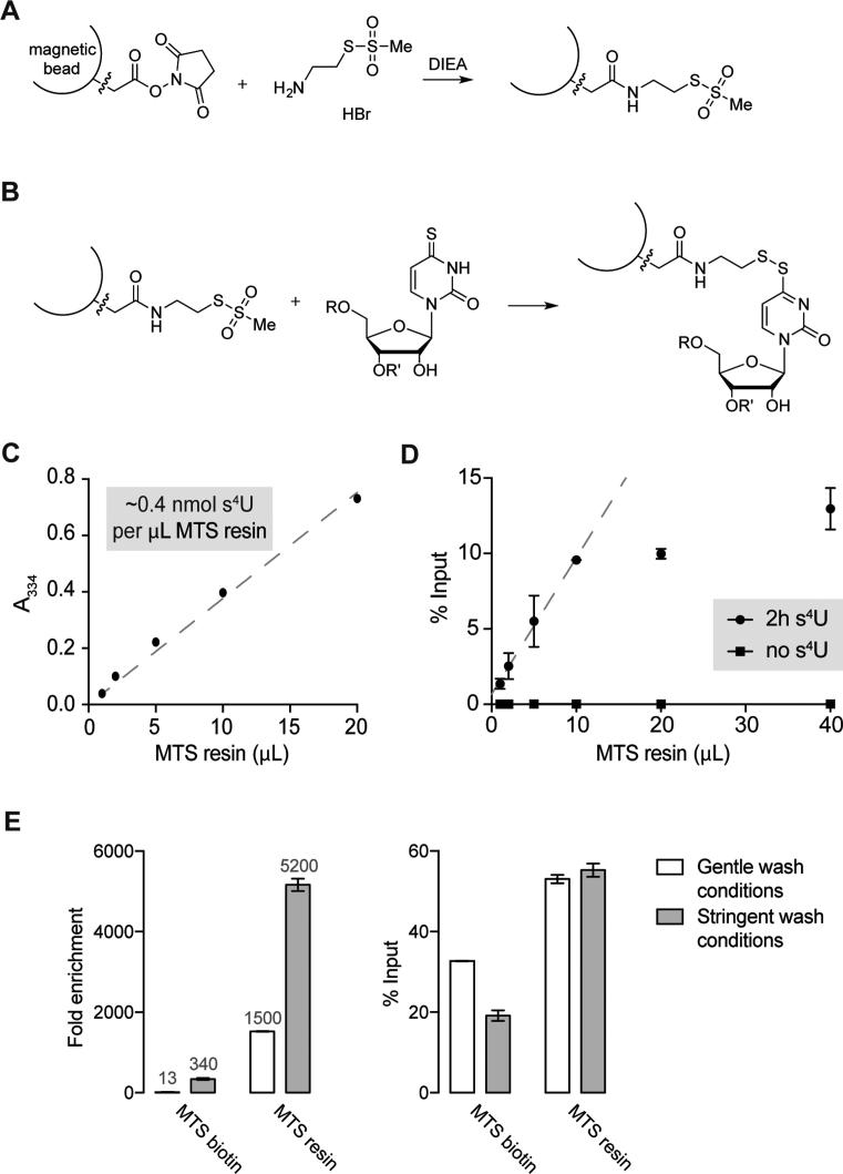https://cdn.ncbi.nlm.nih.gov/pmc/blobs/5d22/6101502/1167b3c0339f/gky556fig1.jpg