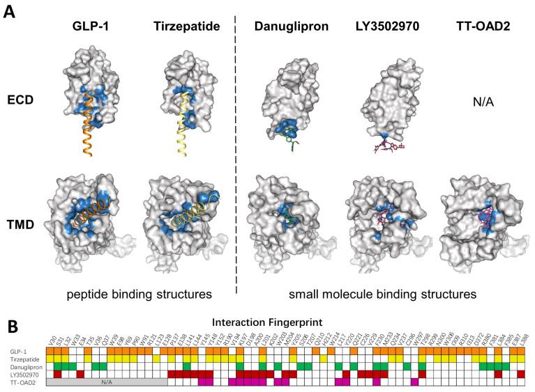 https://cdn.ncbi.nlm.nih.gov/pmc/blobs/5d26/9866634/921387e7a639/molecules-28-00751-g003.jpg