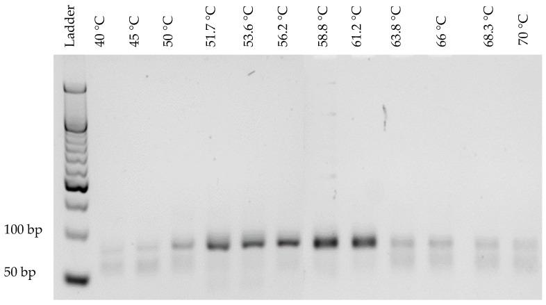 https://cdn.ncbi.nlm.nih.gov/pmc/blobs/5d27/9680285/3a841af42da8/mps-05-00089-g003.jpg