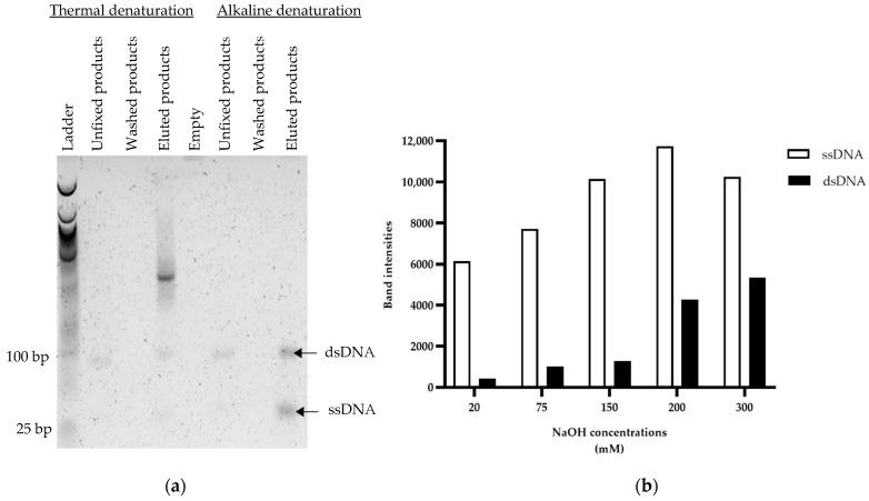 https://cdn.ncbi.nlm.nih.gov/pmc/blobs/5d27/9680285/535fb050dcf2/mps-05-00089-g004.jpg