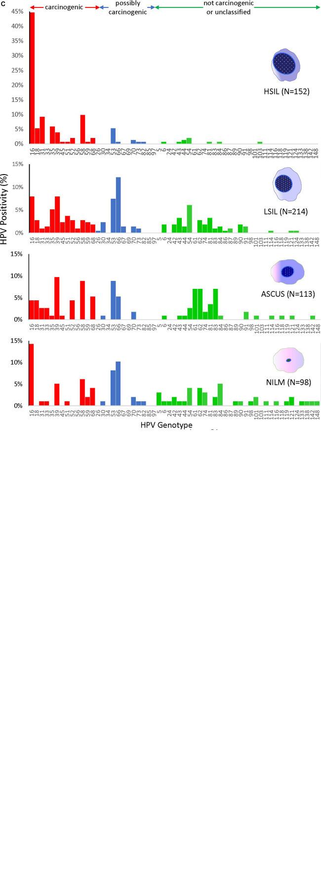 https://cdn.ncbi.nlm.nih.gov/pmc/blobs/5d29/7593258/a6fb632fcea6/fmicb-11-595902-g002.jpg