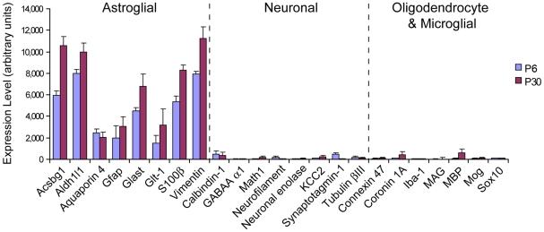https://cdn.ncbi.nlm.nih.gov/pmc/blobs/5d2b/2820553/0c037de079f1/pone.0009198.g002.jpg