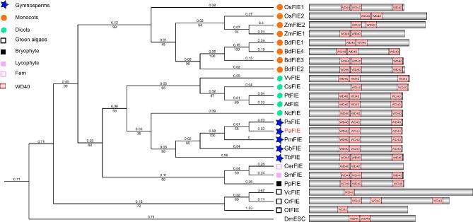 https://cdn.ncbi.nlm.nih.gov/pmc/blobs/5d2e/10314529/9baf7febf9da/12870_2023_4359_Fig1_HTML.jpg