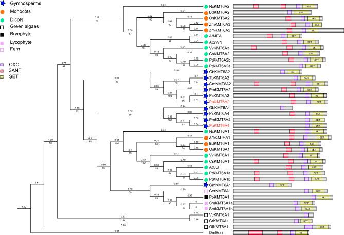 https://cdn.ncbi.nlm.nih.gov/pmc/blobs/5d2e/10314529/c8661e3ee7ca/12870_2023_4359_Fig3_HTML.jpg