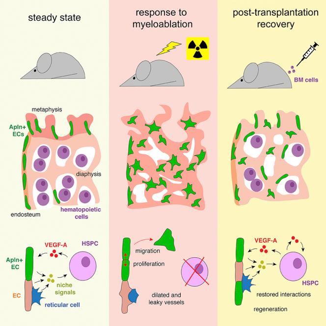 https://cdn.ncbi.nlm.nih.gov/pmc/blobs/5d2f/6900750/06693b713c2f/fx1.jpg