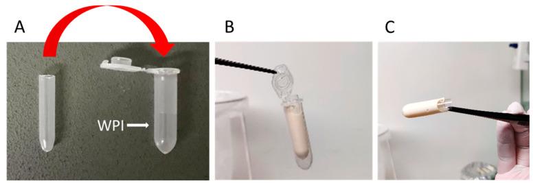 https://cdn.ncbi.nlm.nih.gov/pmc/blobs/5d32/10609092/51153559285f/molecules-28-07052-g008.jpg