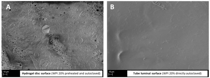 https://cdn.ncbi.nlm.nih.gov/pmc/blobs/5d32/10609092/e3360e2c578b/molecules-28-07052-g007.jpg