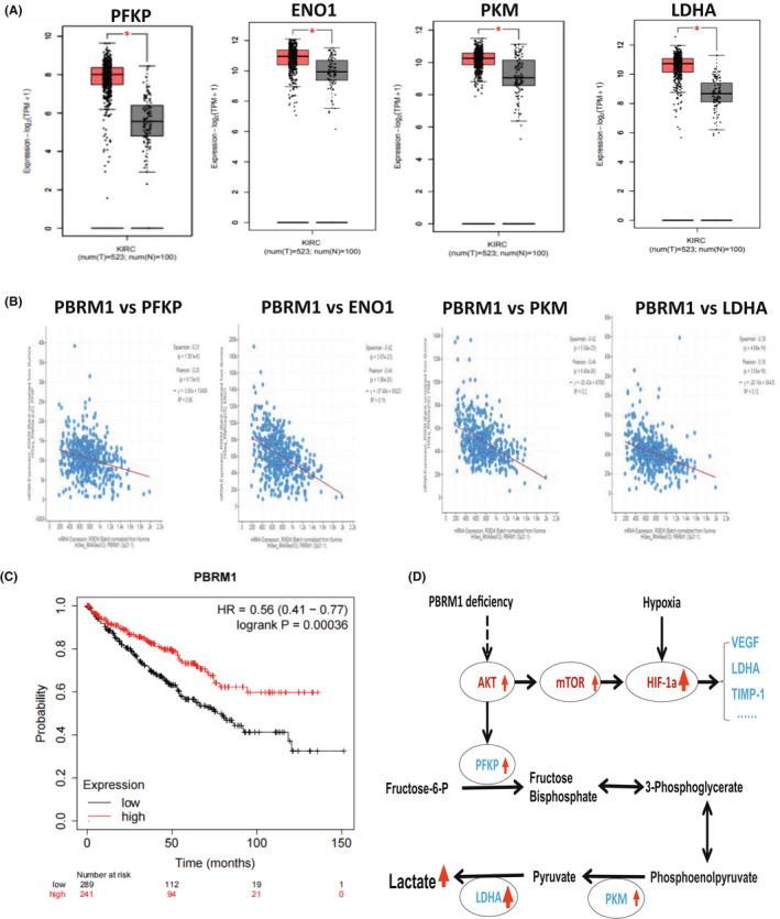 https://cdn.ncbi.nlm.nih.gov/pmc/blobs/5d33/9279584/36386c899890/JCMM-26-3837-g004.jpg