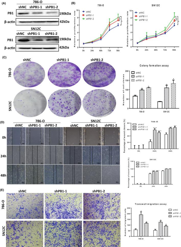 https://cdn.ncbi.nlm.nih.gov/pmc/blobs/5d33/9279584/6a3e6f2c30e8/JCMM-26-3837-g003.jpg