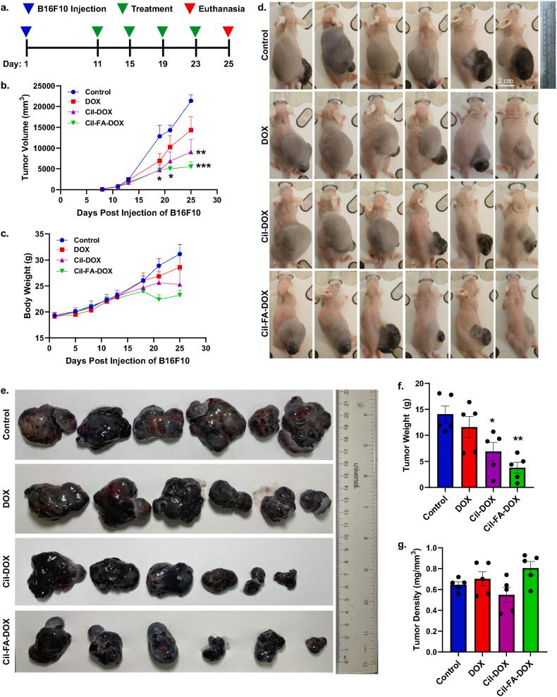 https://cdn.ncbi.nlm.nih.gov/pmc/blobs/5d35/12127868/cd74b0f50dd7/gr2.jpg