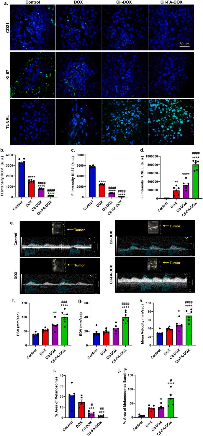 https://cdn.ncbi.nlm.nih.gov/pmc/blobs/5d35/12127868/f9219d27bffb/gr4.jpg