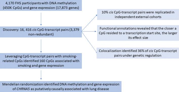 https://cdn.ncbi.nlm.nih.gov/pmc/blobs/5d35/7986283/0bf79dfaf386/13148_2021_1041_Fig1_HTML.jpg