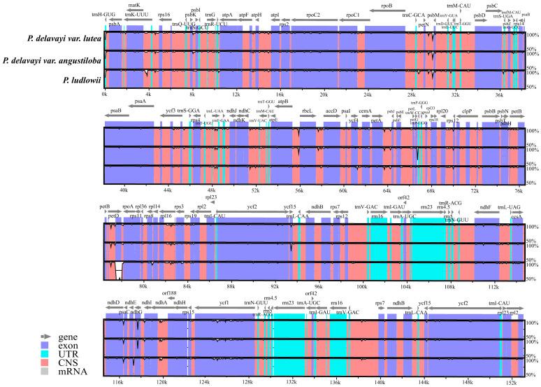 https://cdn.ncbi.nlm.nih.gov/pmc/blobs/5d37/10778623/96c1db8cfd98/ijms-25-00257-g006.jpg