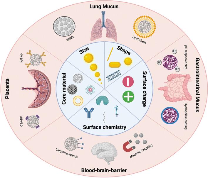 https://cdn.ncbi.nlm.nih.gov/pmc/blobs/5d37/11470712/bde97f88a3f4/12951_2024_2892_Fig1_HTML.jpg
