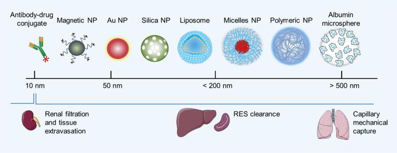 https://cdn.ncbi.nlm.nih.gov/pmc/blobs/5d37/11470712/ee44008ba06b/12951_2024_2892_Fig4_HTML.jpg