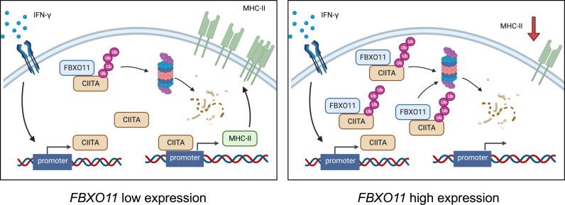 https://cdn.ncbi.nlm.nih.gov/pmc/blobs/5d38/10268274/0372d5307c98/pnas.2218955120fig06.jpg