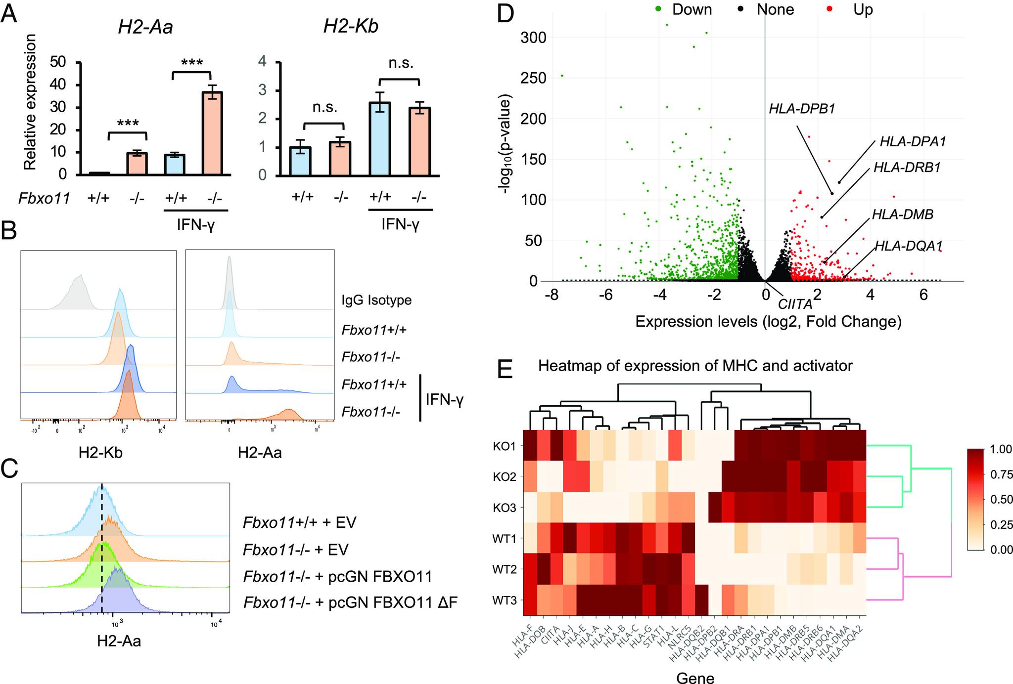 https://cdn.ncbi.nlm.nih.gov/pmc/blobs/5d38/10268274/57c48746c901/pnas.2218955120fig03.jpg