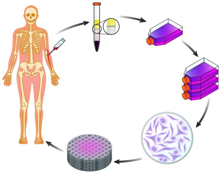 https://cdn.ncbi.nlm.nih.gov/pmc/blobs/5d38/5494105/c2e4485a55c3/SCI2017-2638305.002.jpg