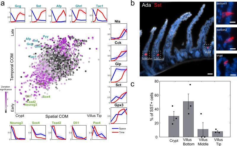 https://cdn.ncbi.nlm.nih.gov/pmc/blobs/5d3a/8144370/b8ee303bd367/41467_2021_23245_Fig5_HTML.jpg
