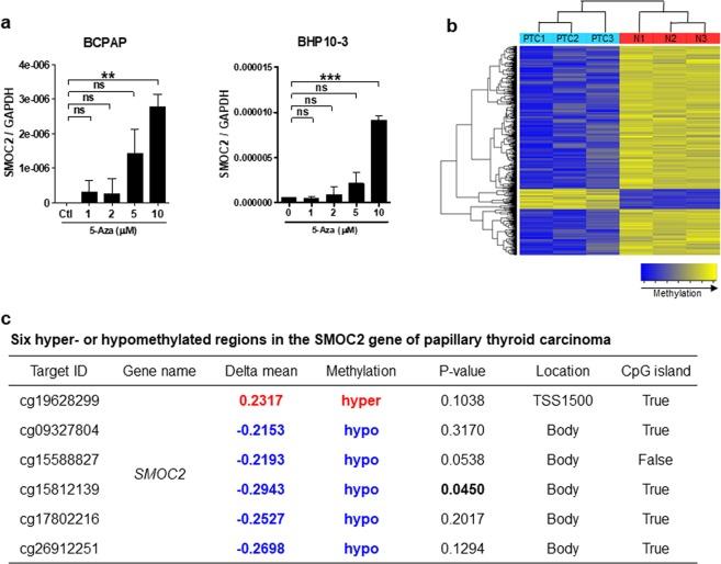 https://cdn.ncbi.nlm.nih.gov/pmc/blobs/5d3b/7078233/b8b023a776cc/41598_2020_61828_Fig4_HTML.jpg