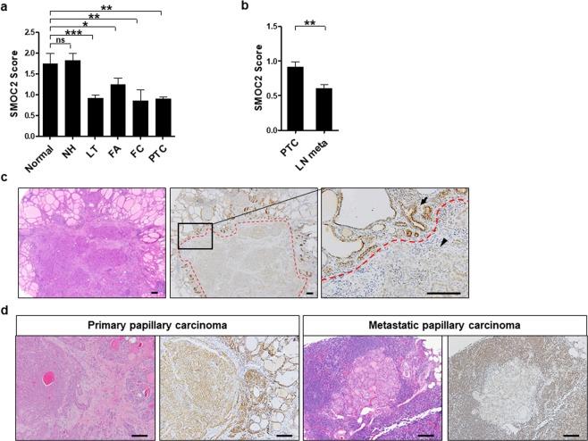 https://cdn.ncbi.nlm.nih.gov/pmc/blobs/5d3b/7078233/fe73c0be73c2/41598_2020_61828_Fig3_HTML.jpg