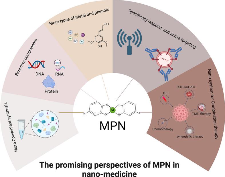https://cdn.ncbi.nlm.nih.gov/pmc/blobs/5d3e/11874145/9b6f5e5a9aa0/12951_2025_3210_Fig13_HTML.jpg
