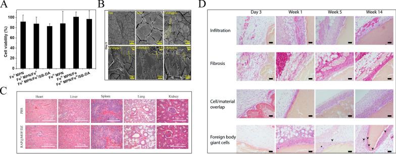 https://cdn.ncbi.nlm.nih.gov/pmc/blobs/5d3e/11874145/fc56b643b9ee/12951_2025_3210_Fig10_HTML.jpg