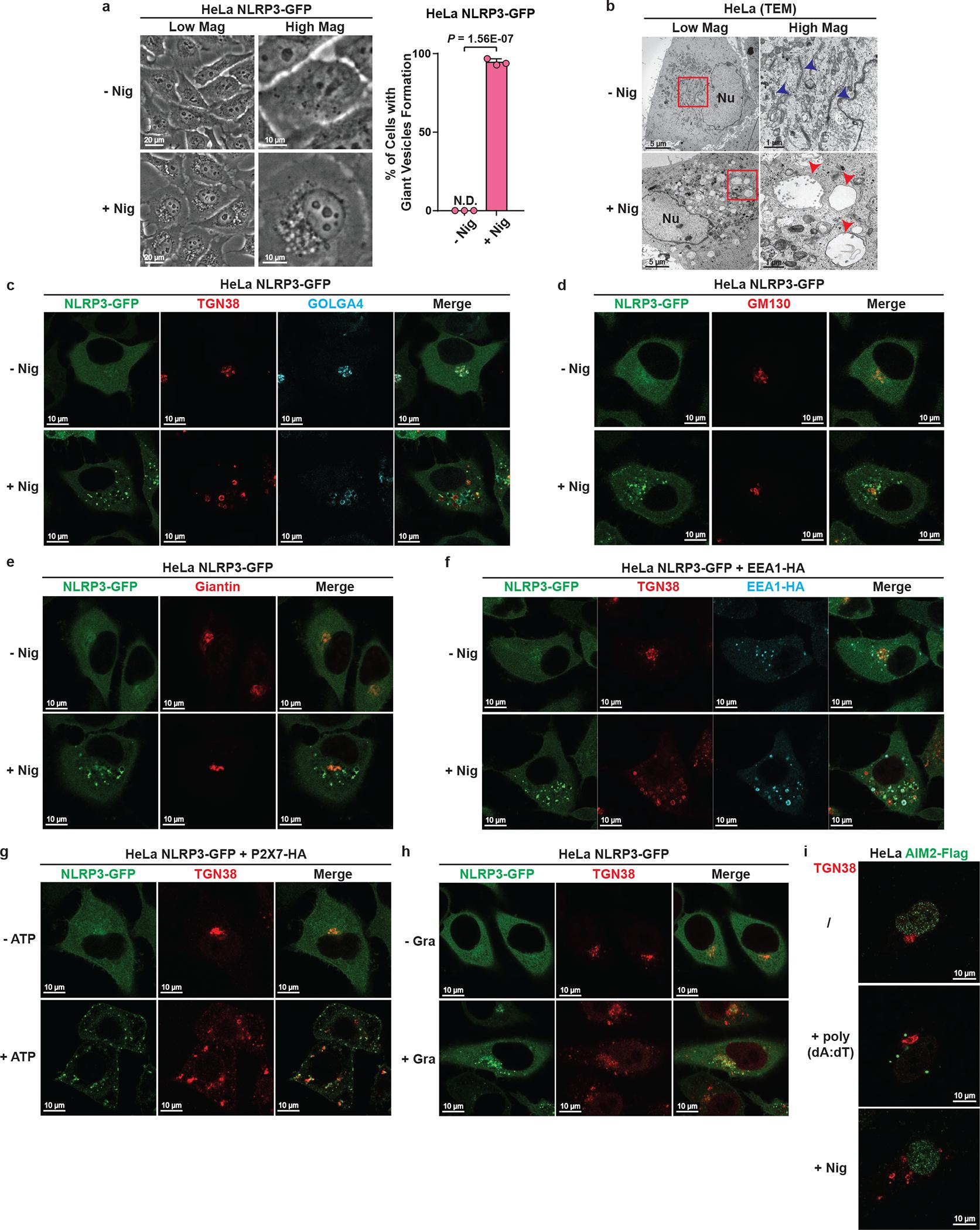 https://cdn.ncbi.nlm.nih.gov/pmc/blobs/5d3e/9402428/0b4630709321/nihms-1829173-f0008.jpg