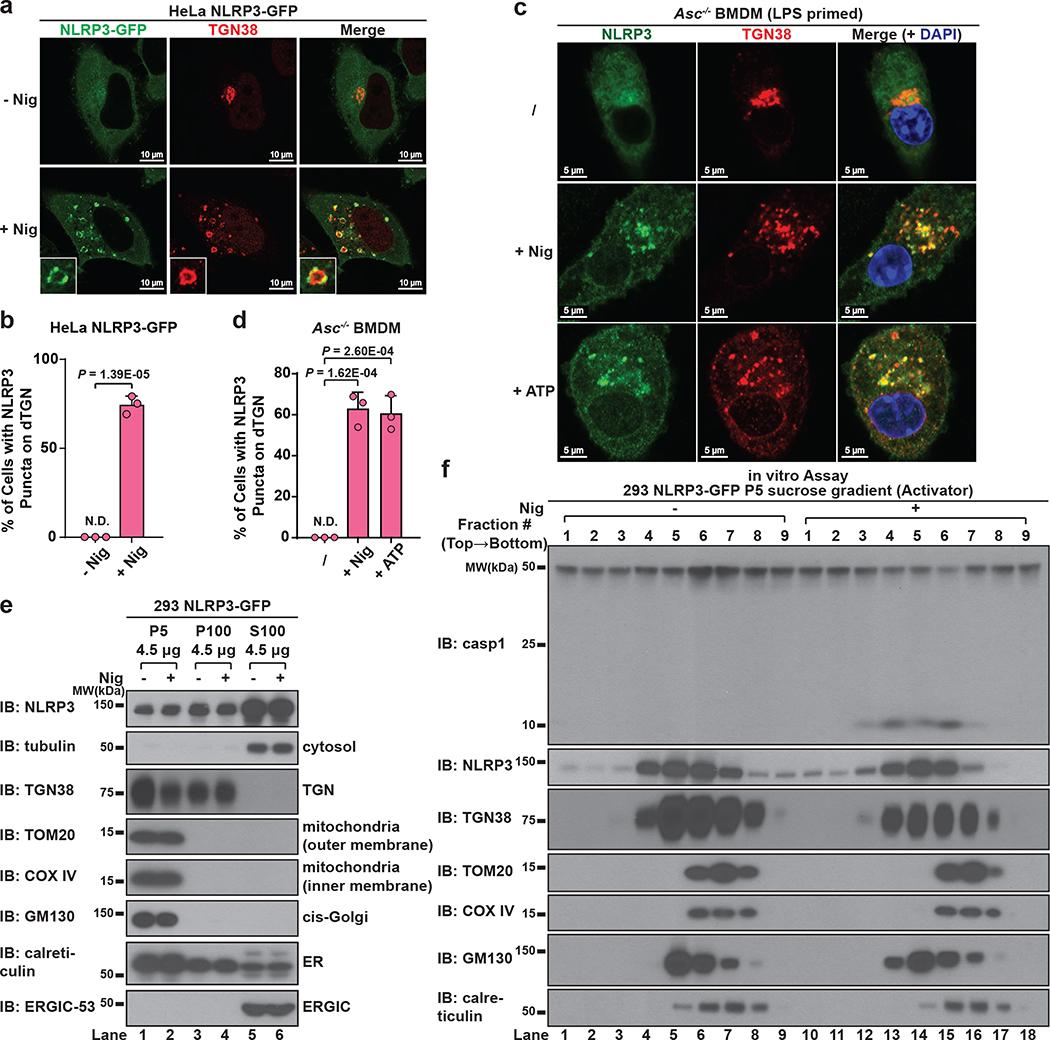 https://cdn.ncbi.nlm.nih.gov/pmc/blobs/5d3e/9402428/27c37ce53045/nihms-1829173-f0002.jpg