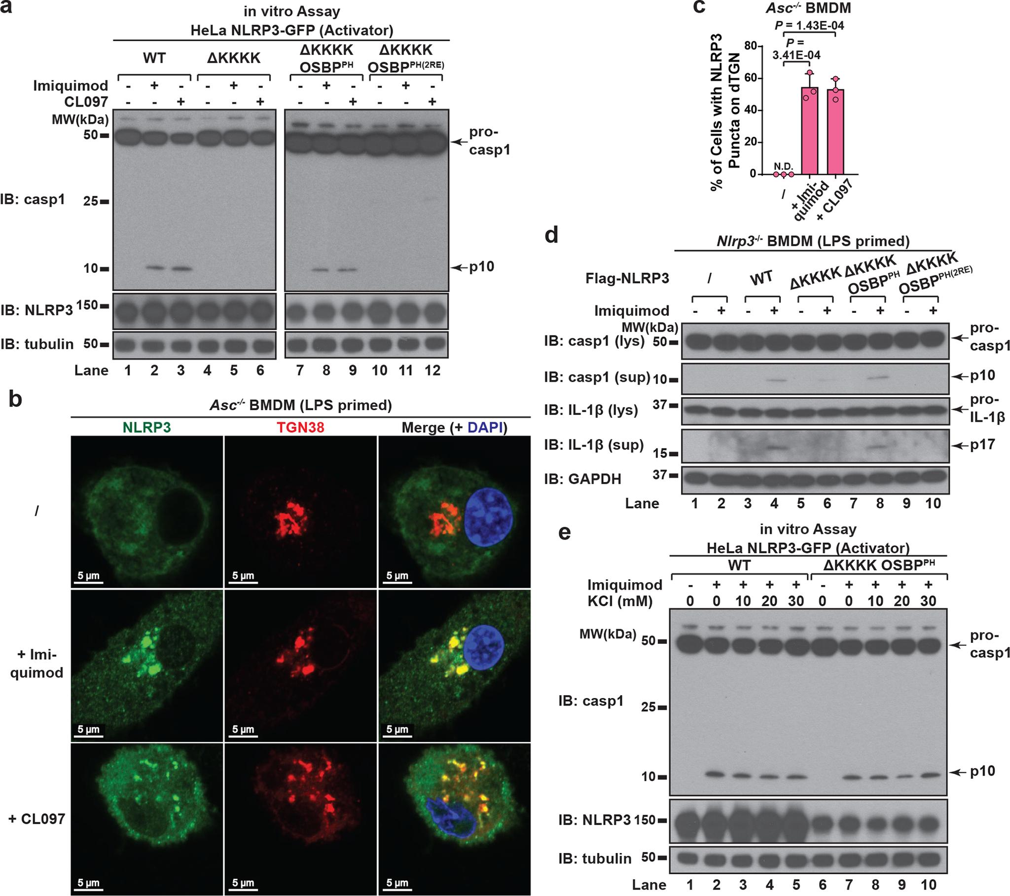 https://cdn.ncbi.nlm.nih.gov/pmc/blobs/5d3e/9402428/2fbc0021c4b0/nihms-1829173-f0006.jpg