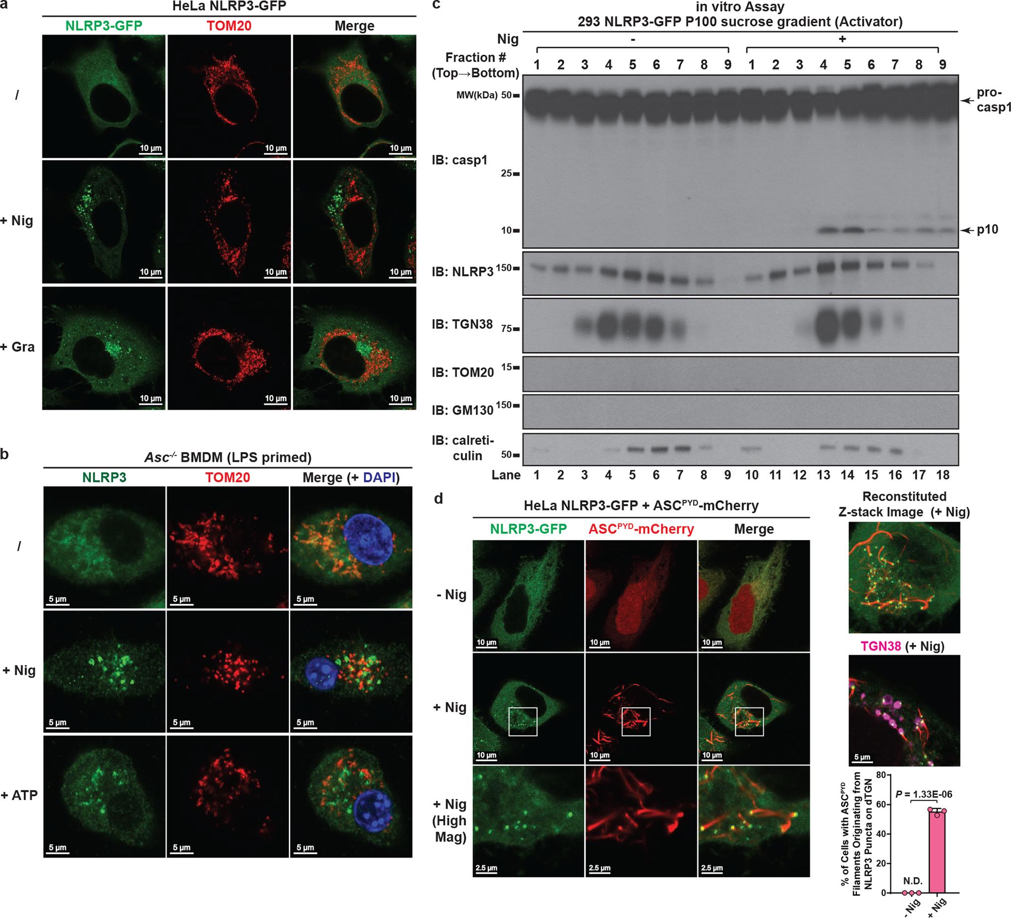 https://cdn.ncbi.nlm.nih.gov/pmc/blobs/5d3e/9402428/4d72d21f2940/nihms-1829173-f0010.jpg