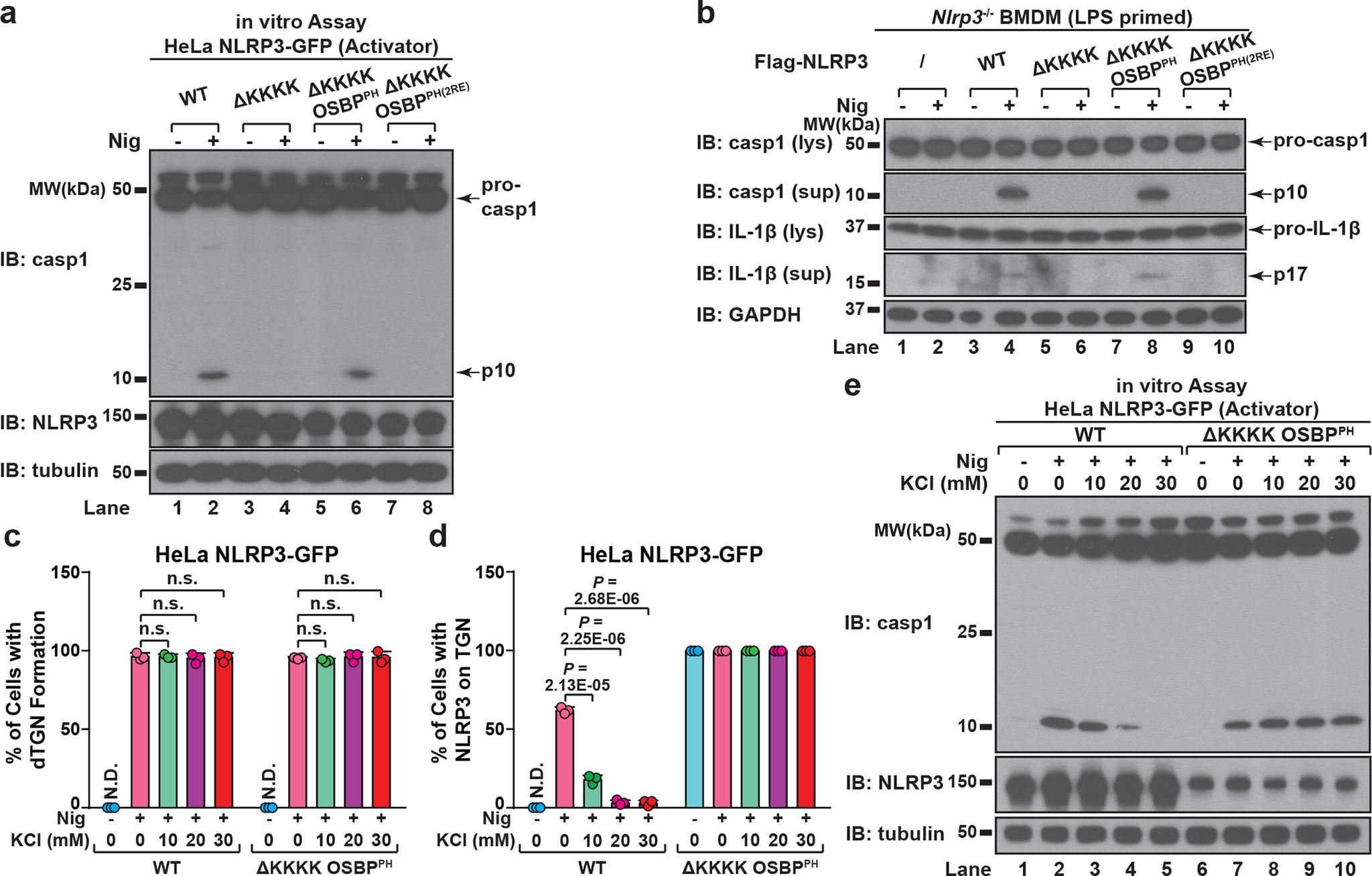 https://cdn.ncbi.nlm.nih.gov/pmc/blobs/5d3e/9402428/e42d79cd6825/nihms-1829173-f0005.jpg