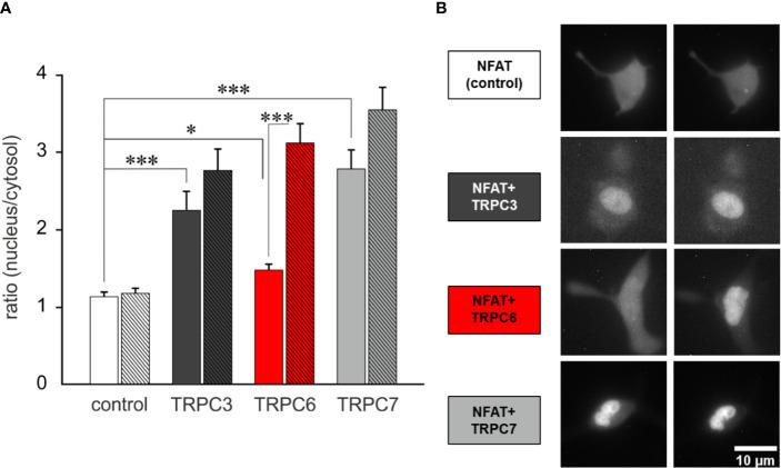 https://cdn.ncbi.nlm.nih.gov/pmc/blobs/5d3f/7775509/45438acedcc9/fimmu-11-613194-g003.jpg