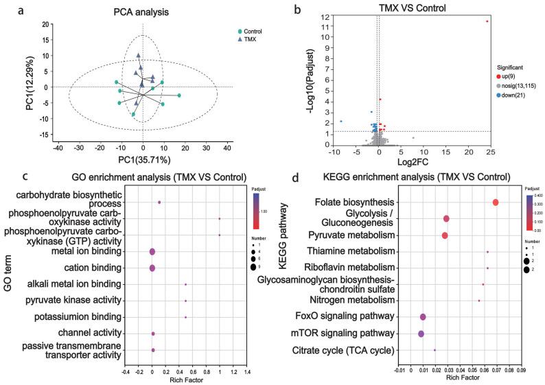 https://cdn.ncbi.nlm.nih.gov/pmc/blobs/5d40/12028093/91974fcf3b92/insects-16-00372-g003.jpg