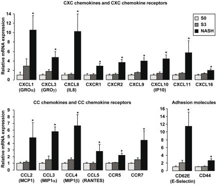 https://cdn.ncbi.nlm.nih.gov/pmc/blobs/5d40/2962651/b1d3592a5efc/pone.0013577.g001.jpg